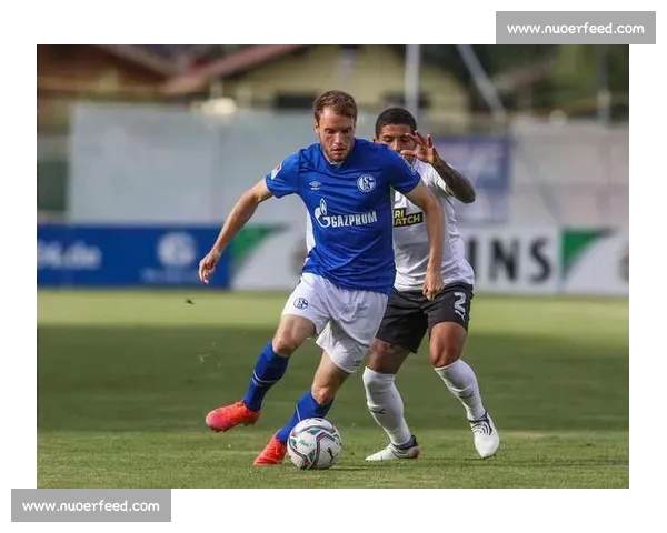 达姆斯塔特主场迎战波鸿保级关键对决前瞻分析赛季走势与胜负看点解读